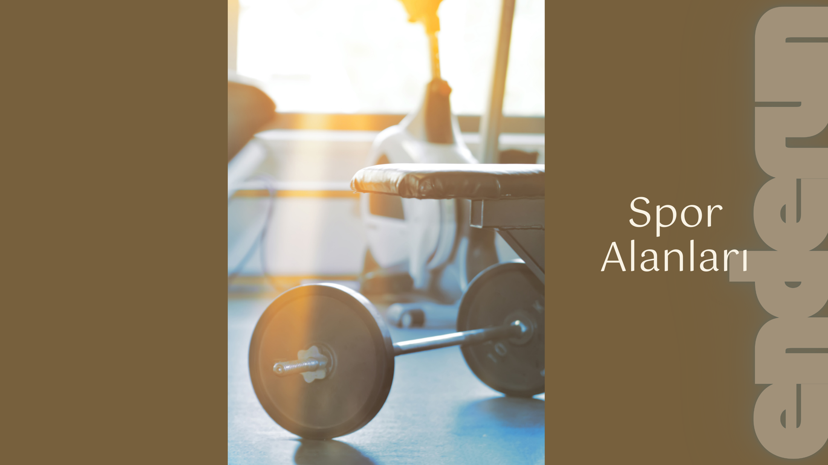 Spor Alanları