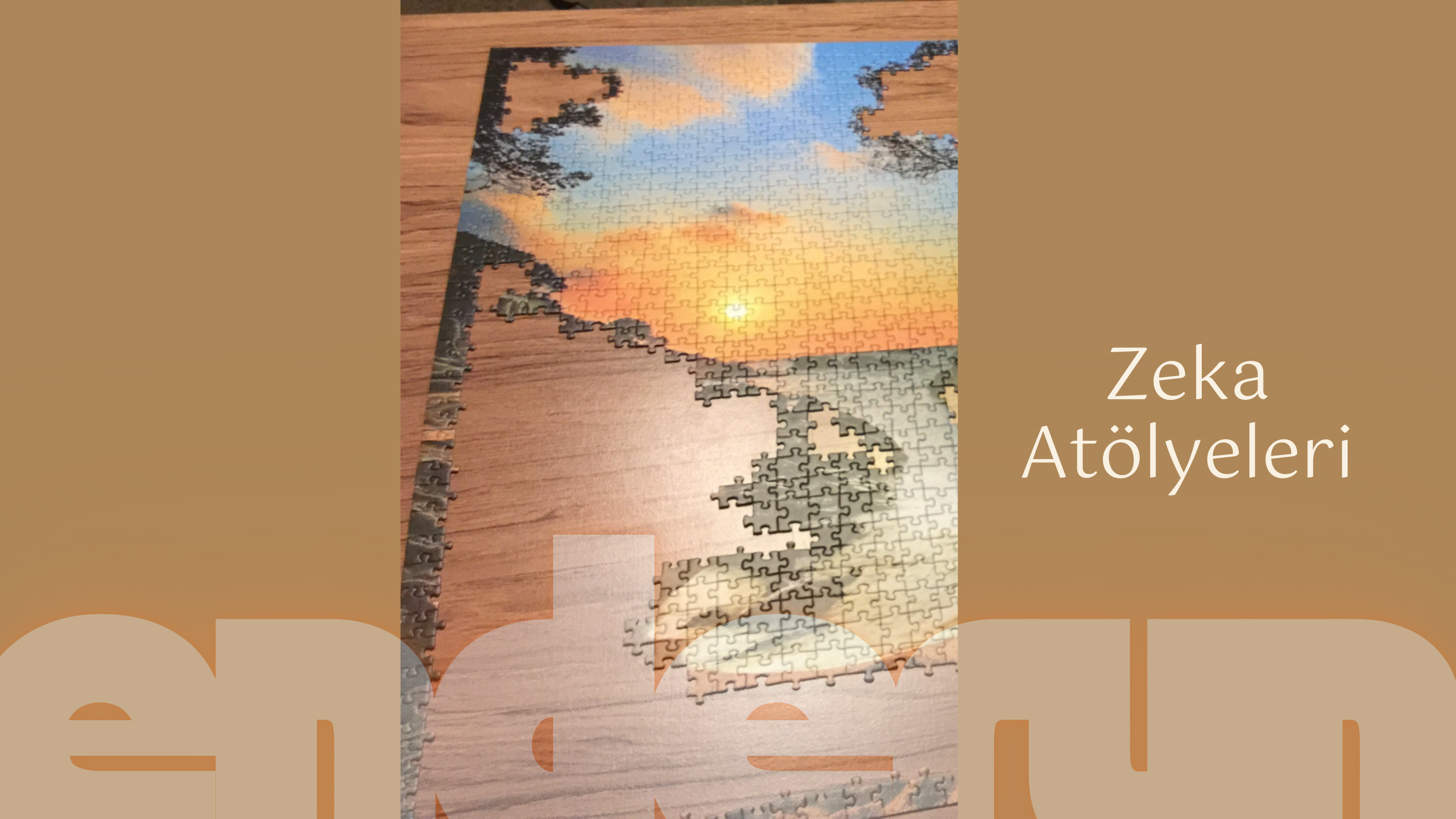 Zeka Atölyeleri
